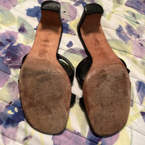 Brighton “Tatum” - Picture 3 of 3